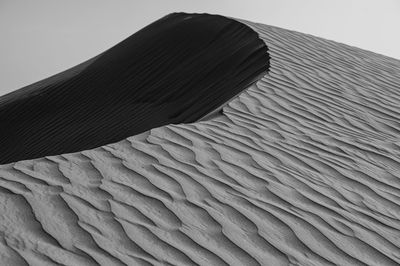 Sand desert in black and white