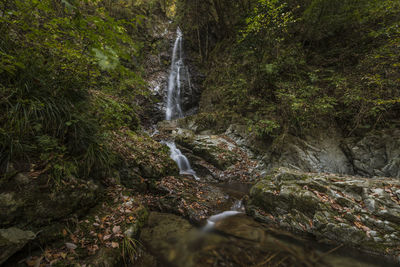 View of waterfall in forest