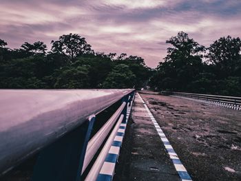 Empty road along trees and plants