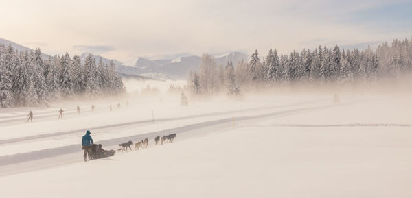 Scenic view of snow covered landscape