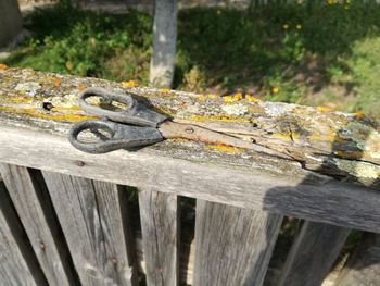 Close-up of wooden bench in park