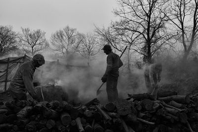 Panoramic view of man making charcoal trees in the forest