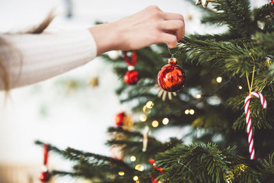 Cropped hand holding christmas tree