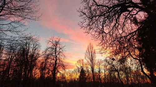 Silhouette trees against dramatic sky during sunset