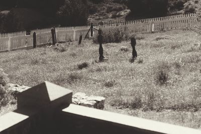 Man and woman on field at cemetery