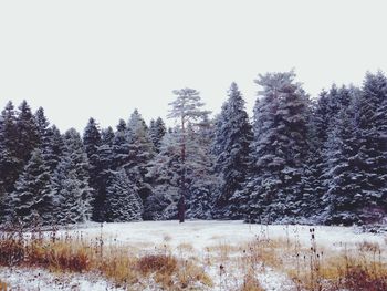 Scenic view of snow covered field against clear sky