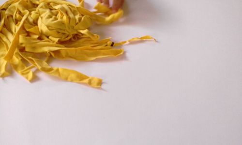 Close-up of yellow flower over white background