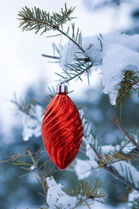 Red christmas ornament hanging on the snow covered branch of an evergreen tree