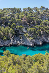 Scenic view of sea and trees
