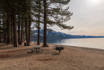 Landscape of picnic table, grill and tall tree trunks on lake tahoe at incline village, nevada