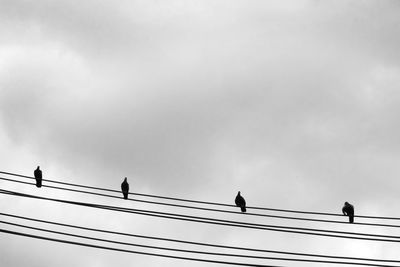 Low angle view of birds perching on cable against sky
