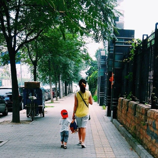 full length, tree, rear view, lifestyles, walking, street, city, building exterior, city life, built structure, men, architecture, leisure activity, casual clothing, the way forward, person, sidewalk, road