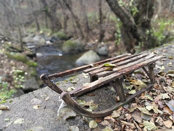 Close-up of wood in forest