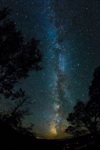 Silhouette trees against sky at night