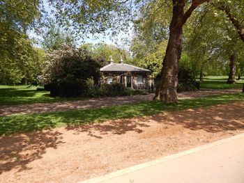 Footpath amidst trees