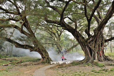 Man riding bicycle on tree trunk