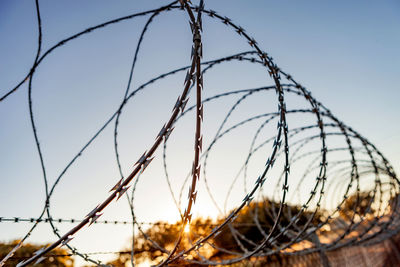 Close-up of barbed wire against clear sky during sunset