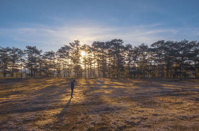 Trees on field against sky during winter