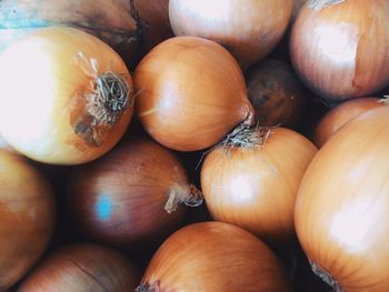 Close-up of onions