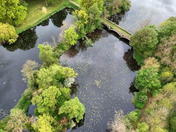 High angle view of plants by lake
