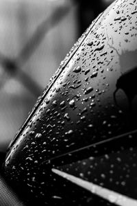 Close-up of wet metal railing during rainy season