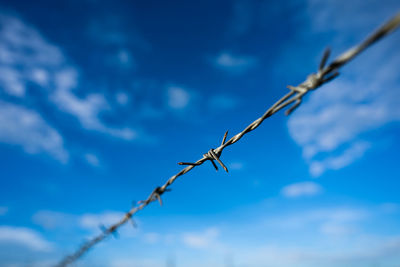 Low angle view of barbed wire against sky