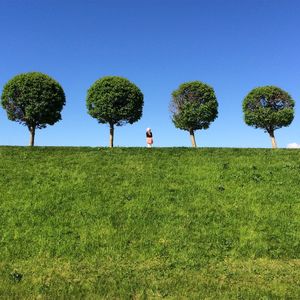 Trees on grassy field against blue sky