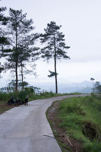 Road by trees on field against sky