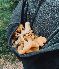 High angle view of person holding mushrooms