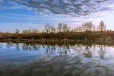 Reflection of trees in lake during winter