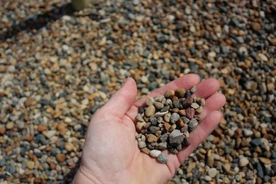 Cropped hand of person holding pebbles at beach during sunny day