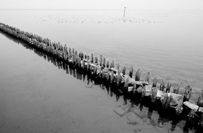 High angle view of birds on sea against sky