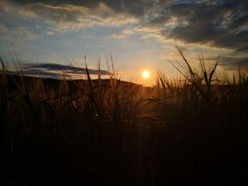 Silhouette landscape against sky during sunset