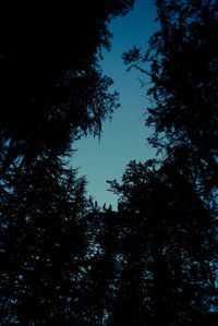 Low angle view of silhouette trees against sky