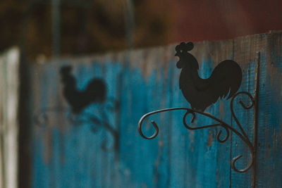 Shadow of a bird on metal wall