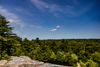 Trees on landscape against sky