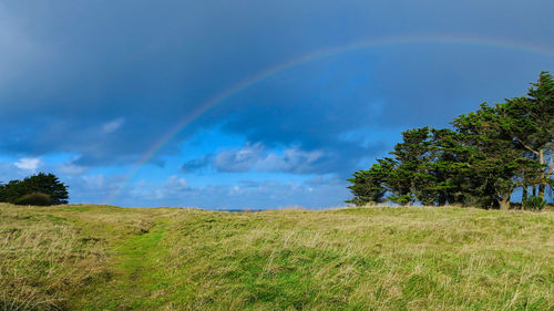 Scenic view of field against rainbow in sky