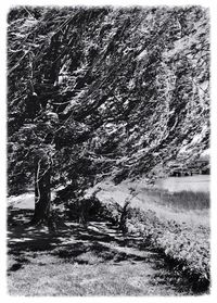 Scenic view of snow covered mountains
