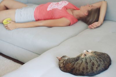 Midsection of a cat sleeping on bed at home