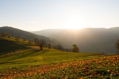 Scenic view of field against sky