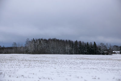 Trees on field against sky during winter