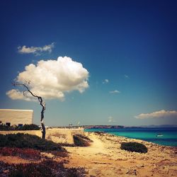 Scenic view of calm sea against sky