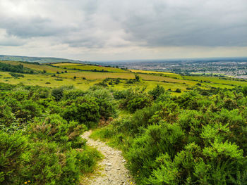 Scenic view of landscape against sky