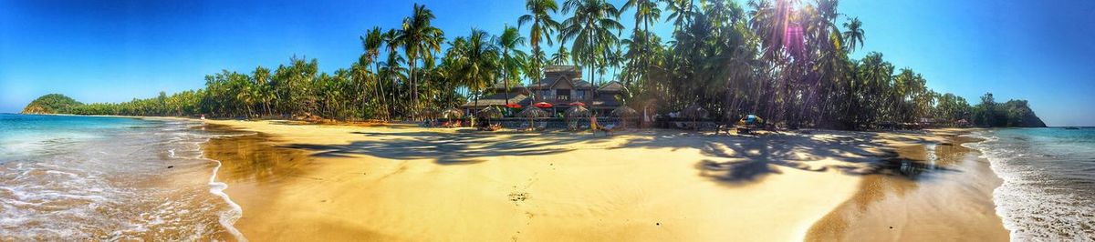 Palm trees on beach