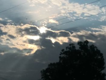 Low angle view of silhouette trees against sky