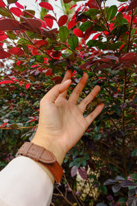 Cropped image of woman holding plant