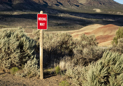 Information sign on road by plants