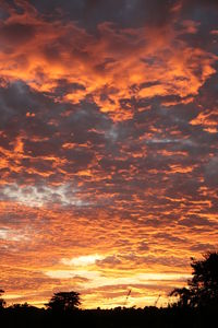 Low angle view of dramatic sky during sunset