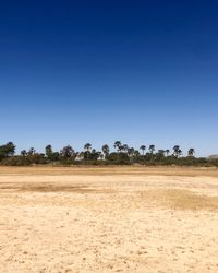 Scenic view of field against clear blue sky