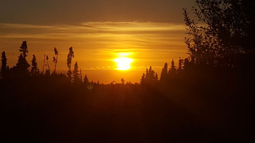 Silhouette trees on landscape against orange sky